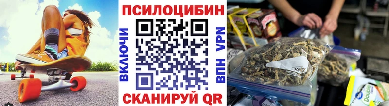 Псилоцибиновые грибы Cubensis  kraken ONION  Сорочинск 