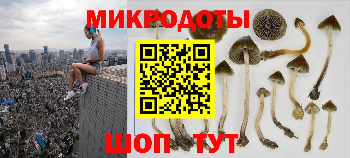 где найти наркотики  Псилоцибиновые грибы мицелий  Вход с VPN  Сорочинск  Псилоцибиновые грибы Psilocybine cubensis 