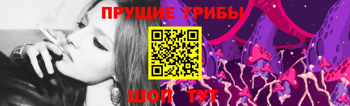 Галлюциногенные грибы Psilocybine cubensis Сорочинск