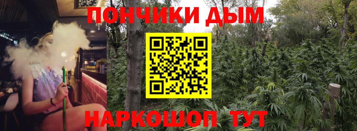 Канабис план  Бошки Шишки тримм  Сорочинск  Бошки марихуана THC 21% 